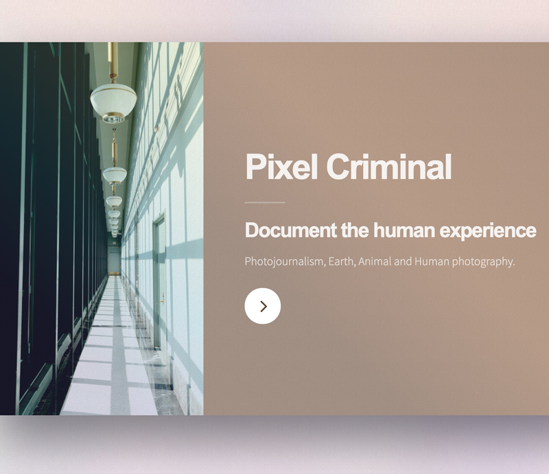 Screenshot of a website called Pixel Criminal