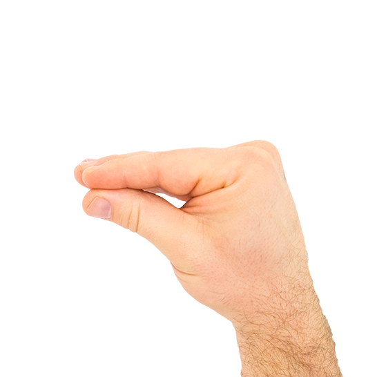 Lizard Image 